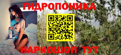 твердый Славгород