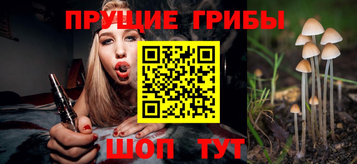 Ростов Великий  где можно купить   Вход с VPN  Галлюциногенные грибы мицелий 